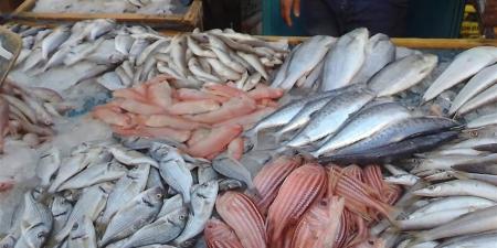 أسعار الأسماك في سوق الغردقة اليوم الجمعة 21 نوفمبر 2025