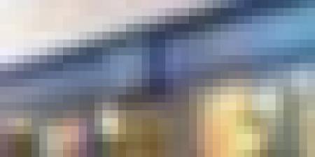 افتتاح رسمي لثلاثة فروع لبنك الجزائري الخارجي في فرنسا