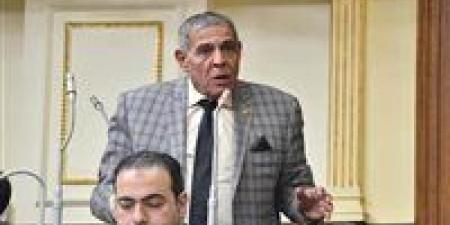 النائب أمين مسعود مرشح الشرابية والزاوية الحمرا.. سيرة ومسيرة تحت قبة البرلمان