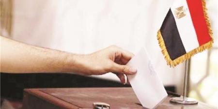 "انتخابات النواب" تسير بيسر في اليونان.. وغدًا مشاركة كبيرة من أبناء الجالية