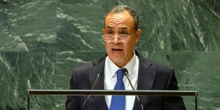 وزير الخارجية: يجب المُضي قدمًا في إعادة إعمار قطاع غزة