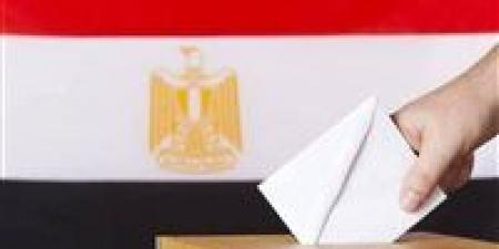 لليوم الثاني انطلاق التصويت في انتخابات مجلس النواب للمصريين بالخارج في 24 دولة بالمرحلة الثانية