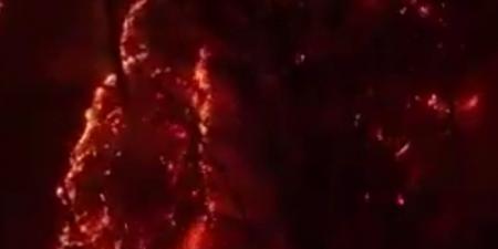 «عمرها 50 مليون سنة».. حريق ضخم يلتهم أقدم الغابات في العالم في إيران