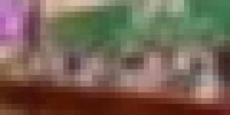 انتخاب الجزائر في مكتب اللجنة التنفيذية للاتحاد البرلماني الإفريقي