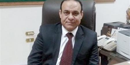 الشوادفي: قمة العشرين تؤكد مكانة مصر كمحور للاستقرار وصناعة القرار