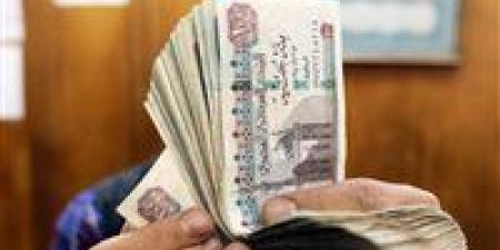 الاستعلام عن معاش تكافل وكرامة ديسمبر 2025 بالرقم القومي وخطوات التسجيل والصرف