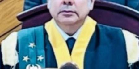 الحكم بإعدام أب اعتدى على ابنته بالسادات