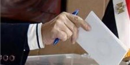 الحزب العربي الناصري يشكل غرفة عملية لمتابعة المرحلة الثانية لانتخابات مجلس النواب 2025