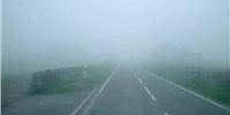 إرشادات القيادة الآمنة لتجنب مخاطر الشبورة