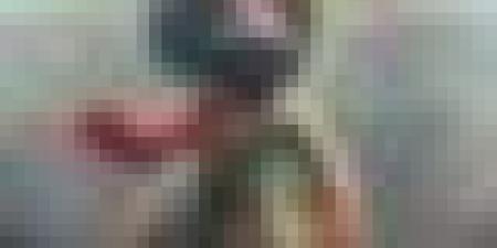 “جحا” تميمة كأس العرب 2025… الجزائر تستعد للمشاركة في البطولة بقطر