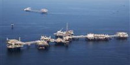 5 شركات تستحوذ على أكثر من 90% من إنتاج الغاز في مصر خلال 2025