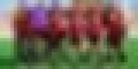 إتحاد العاصمة يستهدف الفوز أمام سان بيدرو الإيفواري والدخول بقوة في دور المجموعات