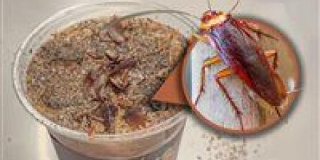 قهوة الصراصير والنمل تكتسح الصين.. مشروب غريب يتحول إلى ظاهرة شبابية