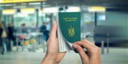 وزير الداخلية يوافق على منح 42 مواطنا الجنسية الأجنبية مع الاحتفاظ بالمصرية