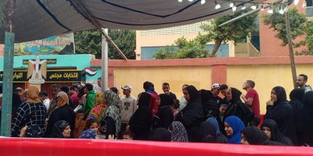 إقبال كثيف في لجان البساتين منذ الصباح ولجنة المساكن الابتدائية تتصدر المشهد الانتخابي