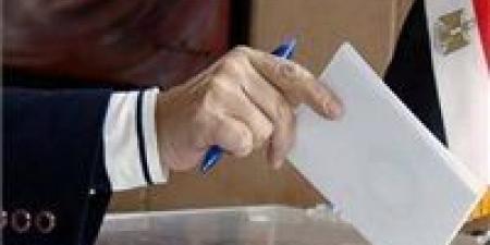 141 مقعدًا فرديًا و142 بالقائمة.. تفاصيل شاملة عن المرحلة الثانية من انتخابات مجلس النواب 2025