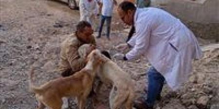 استجابة لشكاوى المواطنين.. حملة واسعة لتعقيم وتحصين الكلاب ضد السعار بمدينة سفاجا