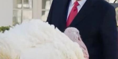 ترامب يعفو عن ديك رومي في تقليد سنوي بمناسبة عيد الشكر الأمريكي
