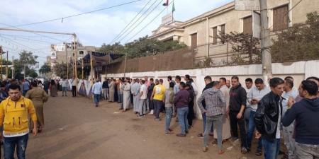 التنسيقية: إقبال متوسط على انتخابات مجلس النواب 2025 في طناح الدقهلية