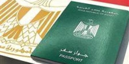 وزير الداخلية يوافق على رد الجنسية المصرية لـ 21 شخصًا
