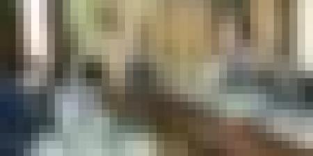 اعتماد الرقم الأخضر "1111" للتبليغ عن حالات المرتبطة بالمخدرات داخل المؤسسات التعليمية