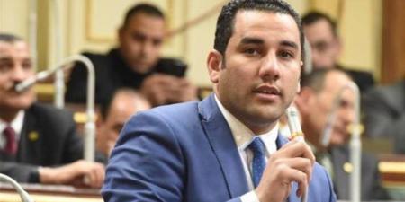 أحمد على يكتسح انتخابات دائرة المرج فى مجلس النواب 2025