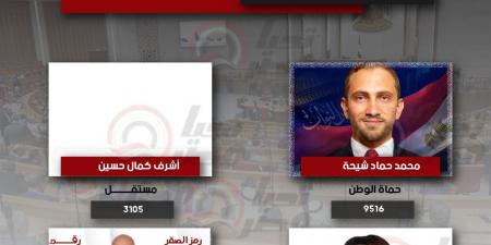 حصر عددي.. تقدم مرشح حماة الوطن محمد شيحة بدائرة السيدة زينب