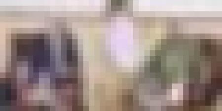 الفريق أول السعيد شنقريحة يستقبل رئيس المصلحة الفدرالية للتعاون العسكري والتقني لفدرالية روسيا