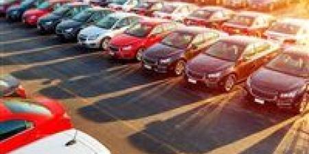 رئيس شعبة السيارات يحذر من تداعيات نقل المعارض خارج الكتل السكنية