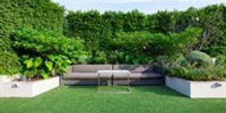 حديقتك أو بلكونتك بلا حشرات: 7 خطوات طبيعية لحماية مساحتك الخضراء