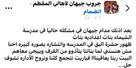 انتشار حشرة البق في مدرسة الشيماء الإعدادية بنات بالمقطم.. وأولياء الأمور يستغيثون