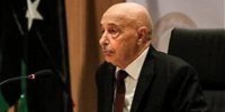 ليبيا.. عقيلة صالح يستجيب لـ«حراك الوطن» ويؤكد الإسراع بالانتخابات