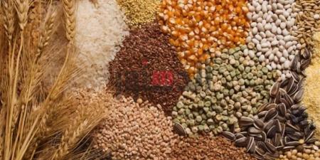 أسعار الحبوب بالغربية اليوم الجمعة 28 نوفمبر 2025