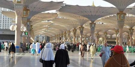 استعدادات المدينة المنورة لاستقبال 30 مليون معتمر وزائر