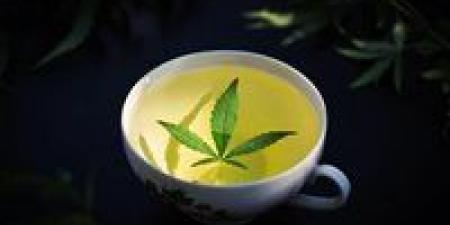 شاي صيني يطيح برخصة قيادة رجل في سانت بطرسبرج: تفاصيل كاملة للقضية