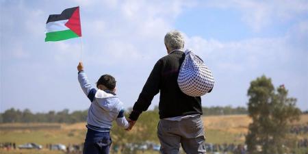 فلسطين ليست وحدها.. رسائل مصر إلى العالم