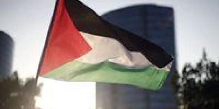 فى اليوم العالمي للتضامن مع الشعب الفلسطيني.. المصري الديمقراطي يؤكد ضرورة إنهاء الاحتلال غير القانوني للأراضي الفلسطينية