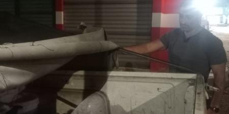 البحيرة تبدأ تجهيز مواقع آمنة لإيواء الكلاب الضالة.. صور