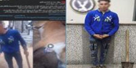 بسبب نباحه عليه.. ضبط مزارع تعدى على كلب بـ "كوريك" في سوهاج