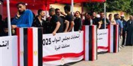 عــــاجل | قرار مرتقب بإلغاء جولة الإعادة في الدوائر الملغاة بحكم الإدارية العليا