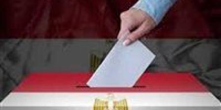 الإدارية العليا تبطل انتخابات دائرة طامية بالفيوم وإعادة الانتخابات فيها