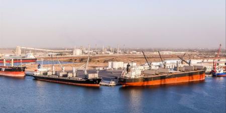 تداول 28 سفينة حاويات وبضائع عامة بميناء دمياط