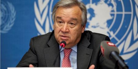 جوتيريش يكرر دعوته لإحراز تقدم لا رجعة فيه نحو حل الدولتين