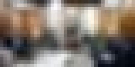 الجزائر والسعودية تعززان شراكتهما في قطاع المحروقات عبر مشروع "إليزي جنوب"