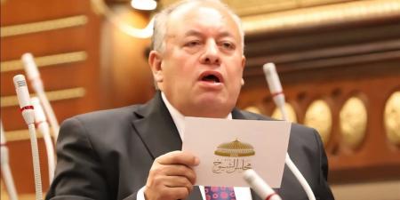 نائب: خطاب السيسي لأبو مازن يعكس ثبات الموقف المصري تجاه فلسطين