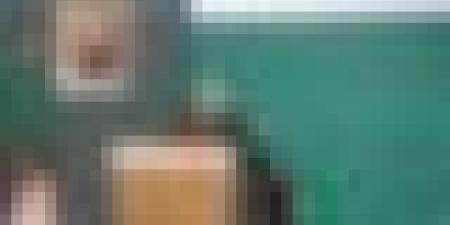 عطاف: إفريقيا بحاجة إلى إعادة بعث نهجها الدبلوماسي