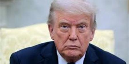 قرار ترامب وتصنيف فروع الإخوان.. ما التأثير الفعلي على التنظيم الدولي؟