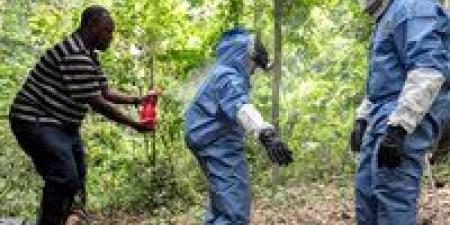 تحذير عالمي من تفشي فيروس ماربوج في إثيوبيا.. خطر وطنى مرتفع وتحركات دولية عاجلة