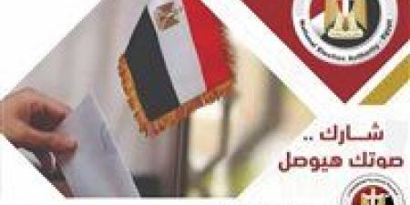 لماذا ألغيت انتخابات النواب في دائرة البلينا بسوهاج