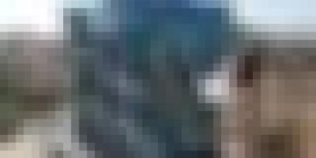 "عدل 3 ": الانطلاق في إنجاز أكثر من 11 ألف وحدة سكنية